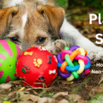 Non-Toxic Dog Toys: How to Choose Safe, Chemical-Free and Healthy Toys for Your Dog