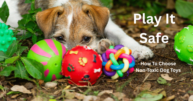 non-toxic dog toys